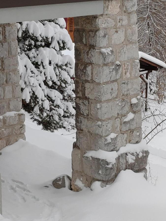 Studio au calme, vue imprenable sur la vallée Leysin Extérieur photo