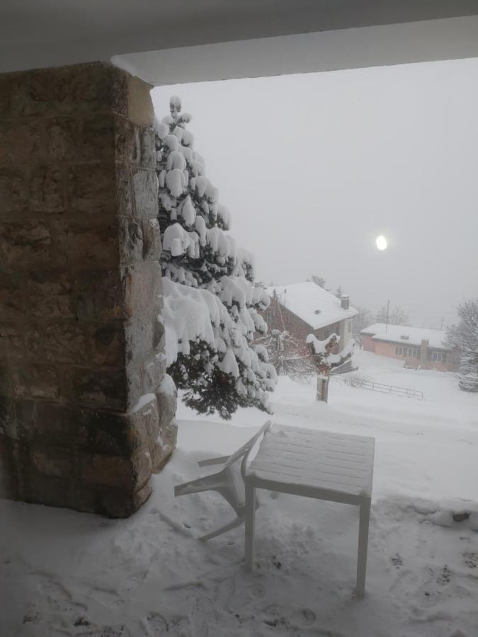 Studio au calme, vue imprenable sur la vallée Leysin Extérieur photo