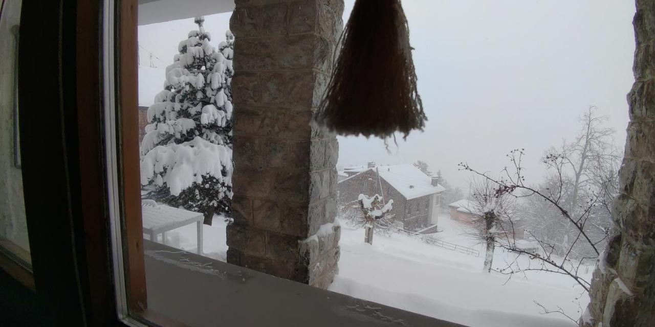 Studio au calme, vue imprenable sur la vallée Leysin Extérieur photo