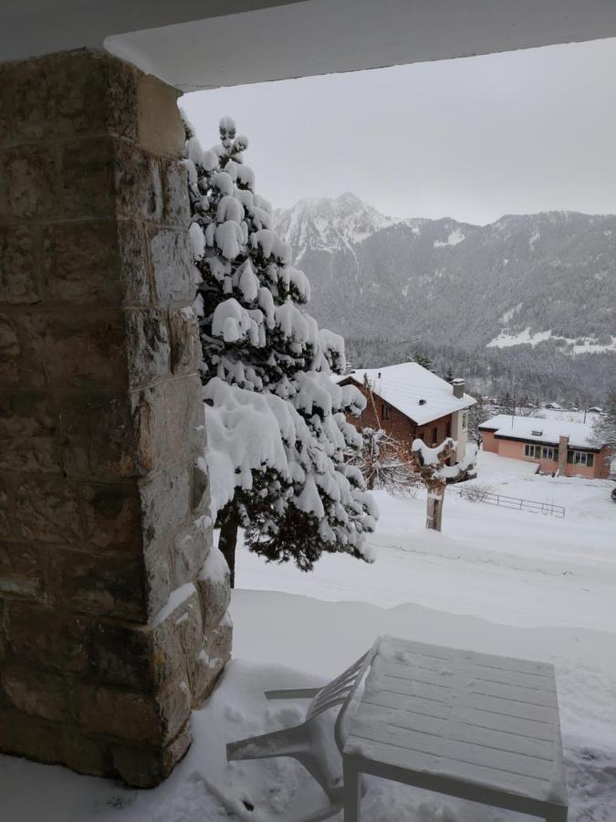 Studio au calme, vue imprenable sur la vallée Leysin Extérieur photo